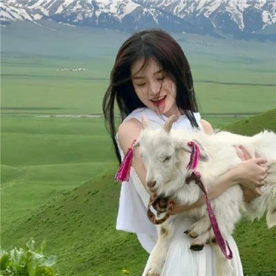 倩女仙缘2